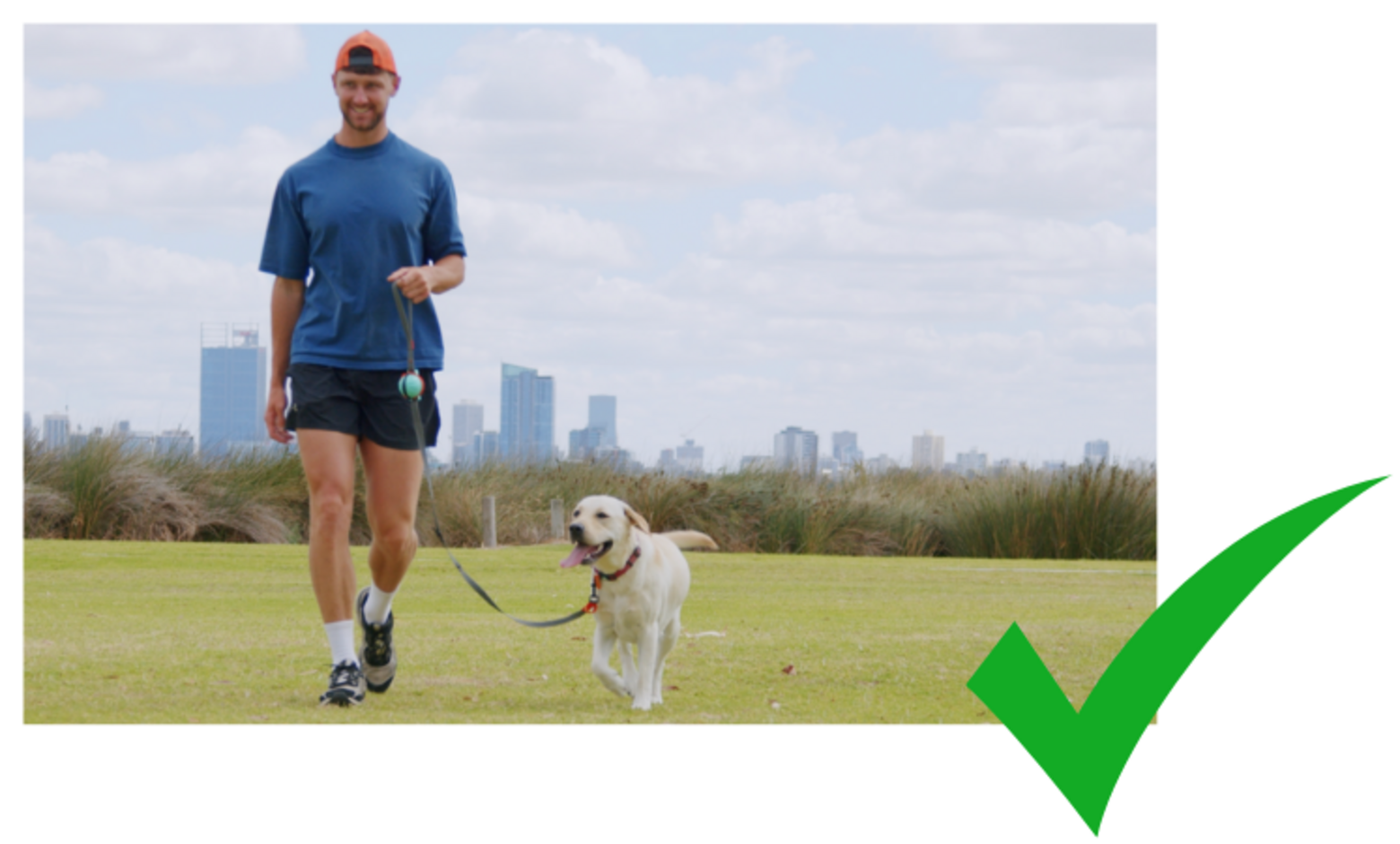 Sling Leash hands-free dog leash for running and hiking Logo Brand pros and cons chuck it