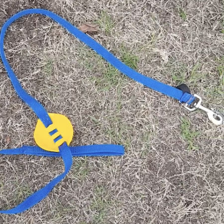 Sling_Leash