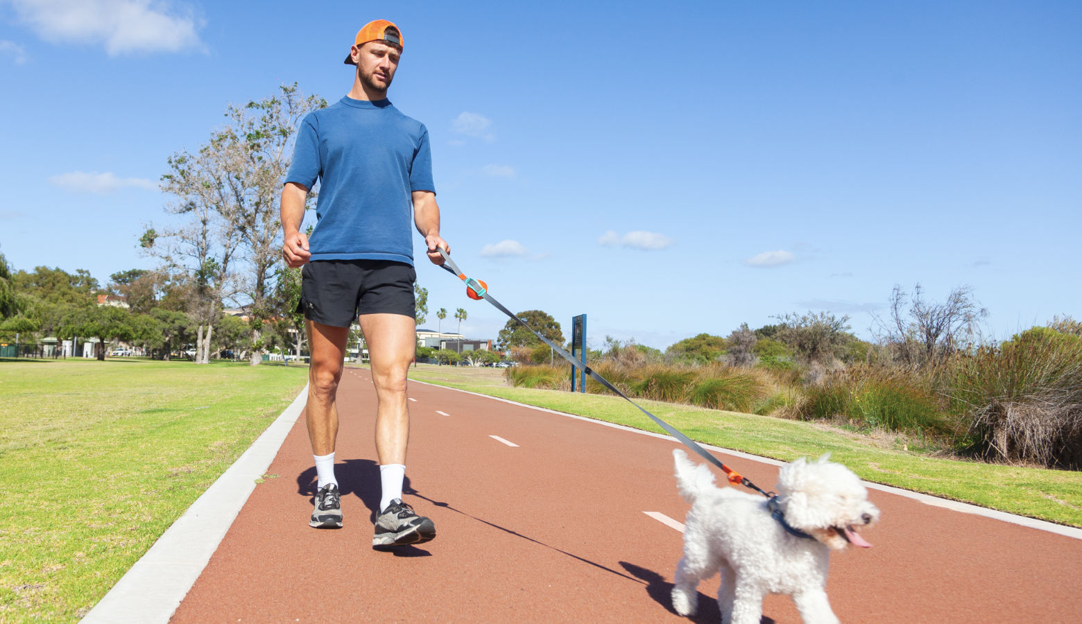 man jogging with Poodle using Sling Leash hands‑free running leash and ball stored at handle