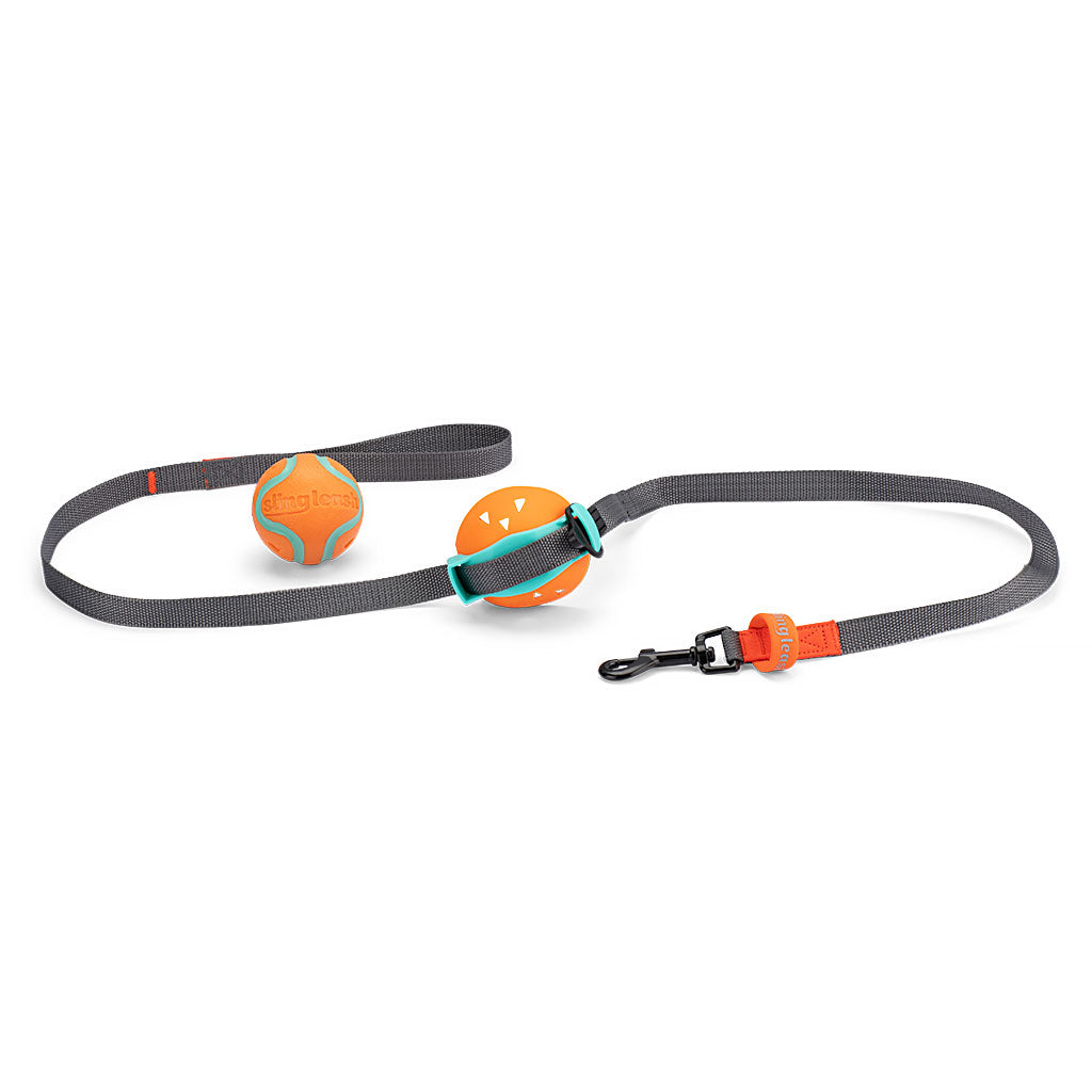 Sling Leash box set with grey hands‑free leash, built‑in ball launcher, rebound ball and spare ball chuck it