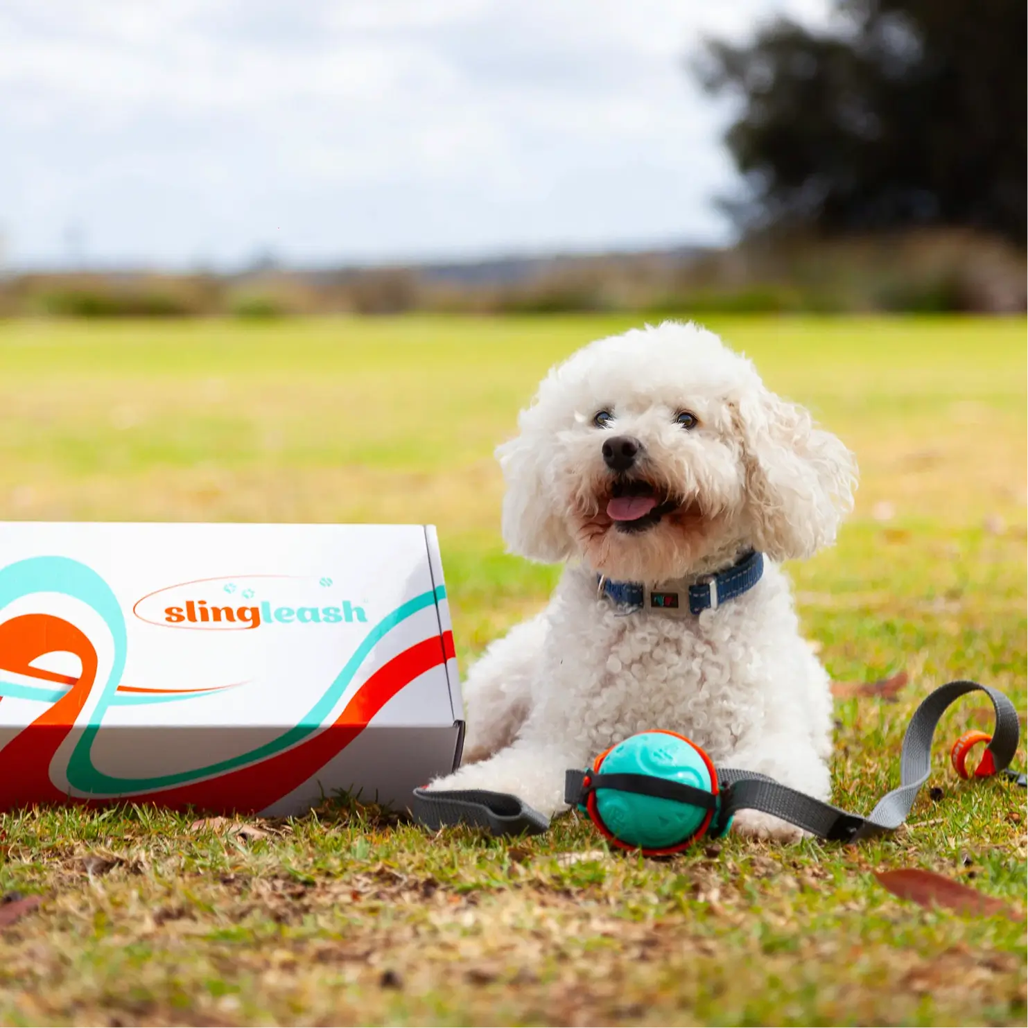 Sling Leash Box Set