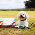 Load image into Gallery viewer, Sling Leash Box Set
