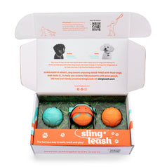 Sling Leash Box Set